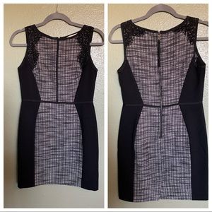 Fitted shift dress with lace detail